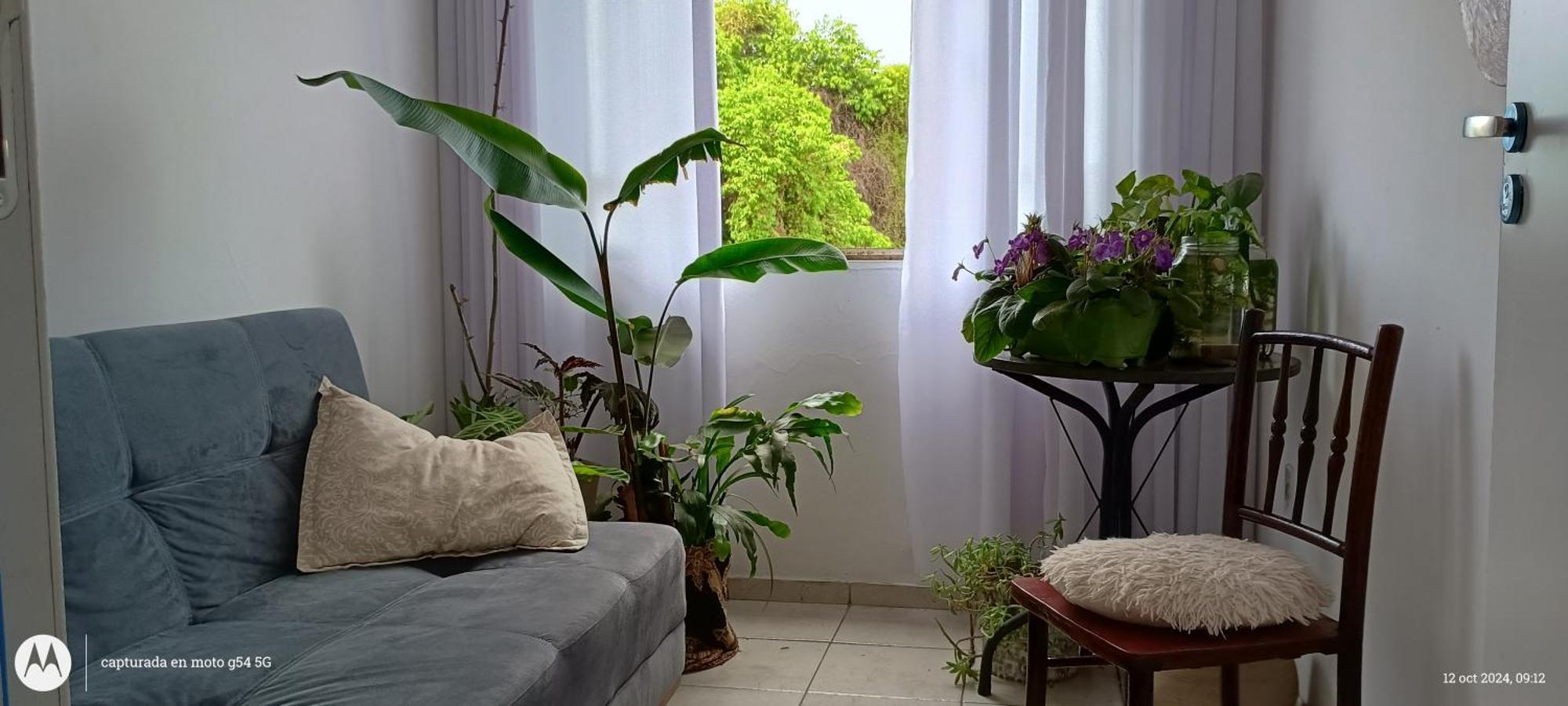 Oasis Interior Hotel Volta Redonda Ngoại thất bức ảnh
